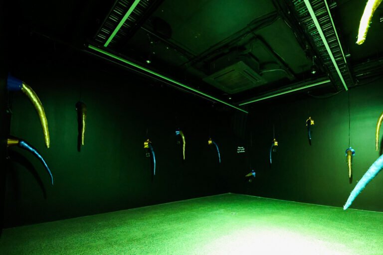 The Cacophony Room