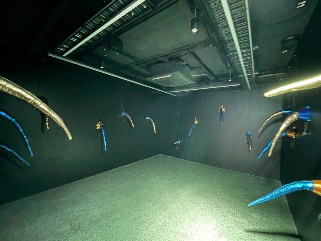 The Cacophony Room