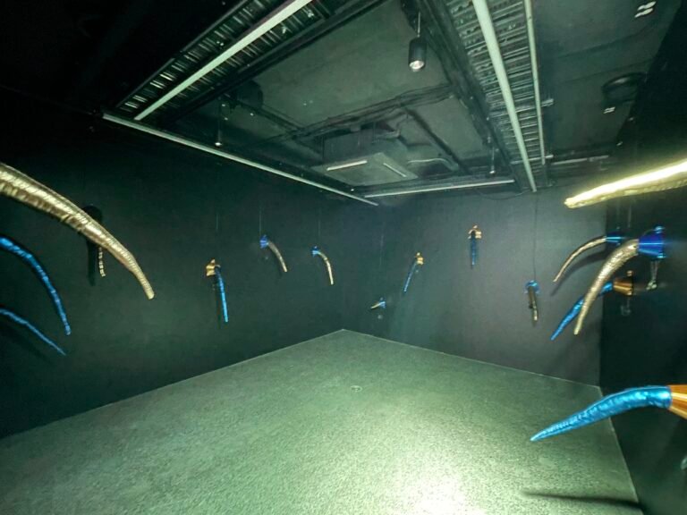 The Cacophony Room